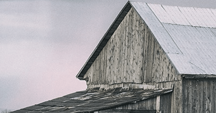 Le prix littéraire Adrienne-Choquette 2020 va à Geneviève Boudreau