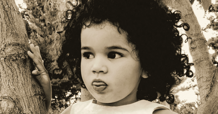 Le Prix littéraire Québec-France Marie-Claire-Blais dévoile ses trois finalistes