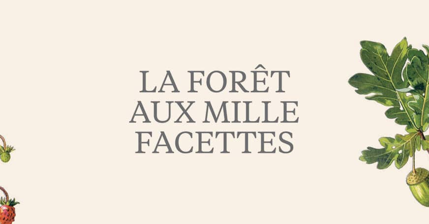 La forêt aux mille facettes