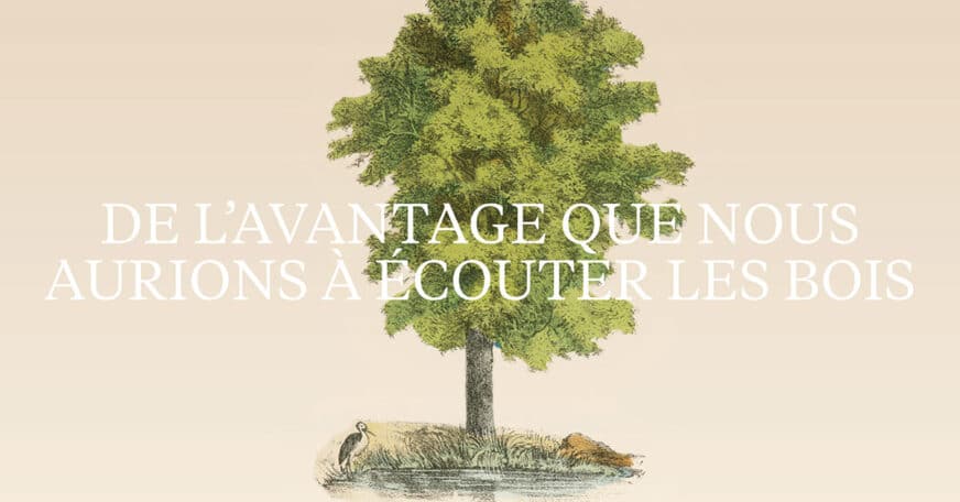 De l’avantage que nous aurions à écouter les bois
