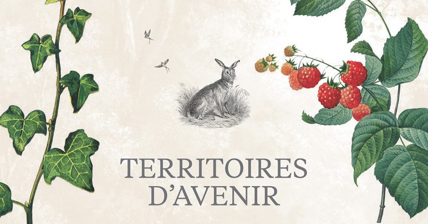 Territoires d’avenir