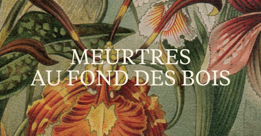 Meurtres au fond des bois