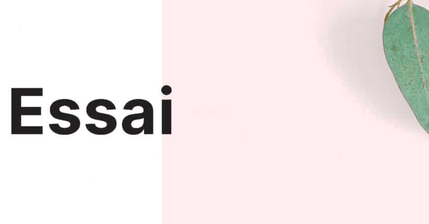 La rentrée littéraire 2021 : Essai