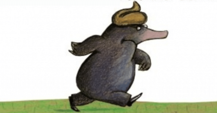 Wolf Erlbruch, l’un des pères de la petite taupe, est mort